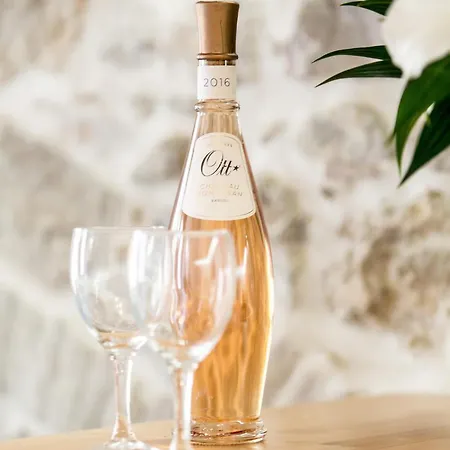 Charming Ii Daire Antibes